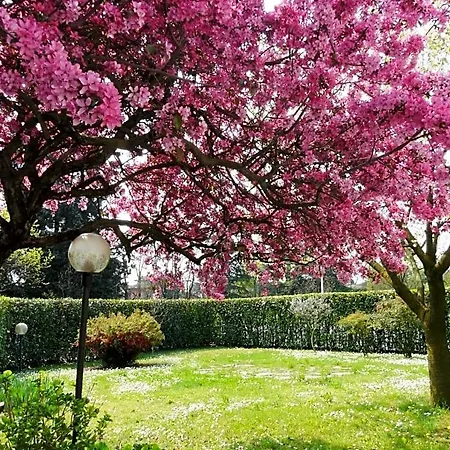 In Giardino