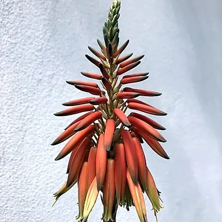 In Giardino Cassina de' Pecchi